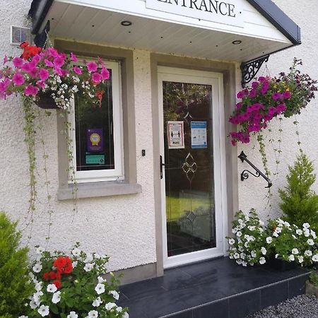 The Laurels Bed & Breakfast Lodge Omagh Exteriér fotografie