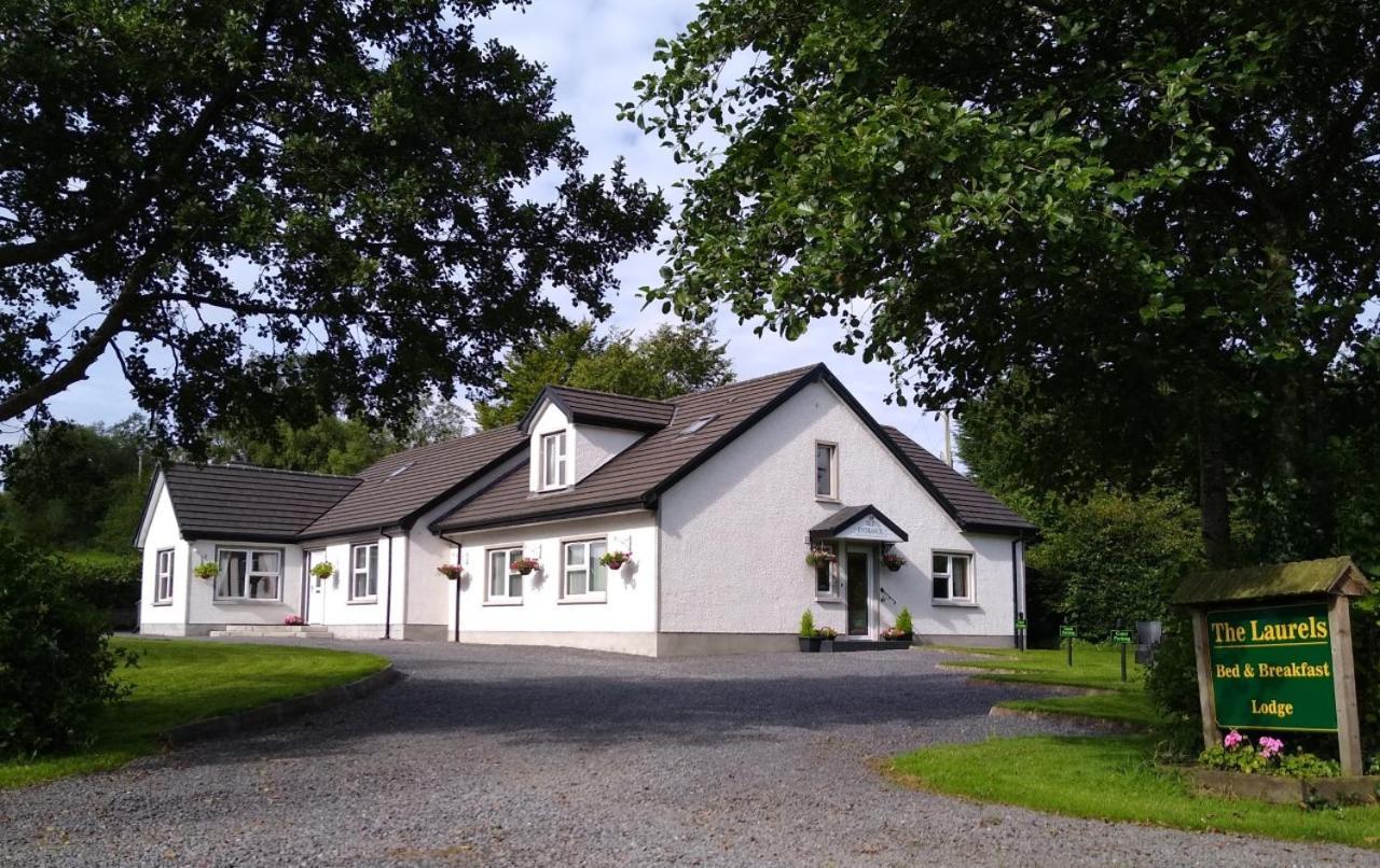The Laurels Bed & Breakfast Lodge Omagh Exteriér fotografie