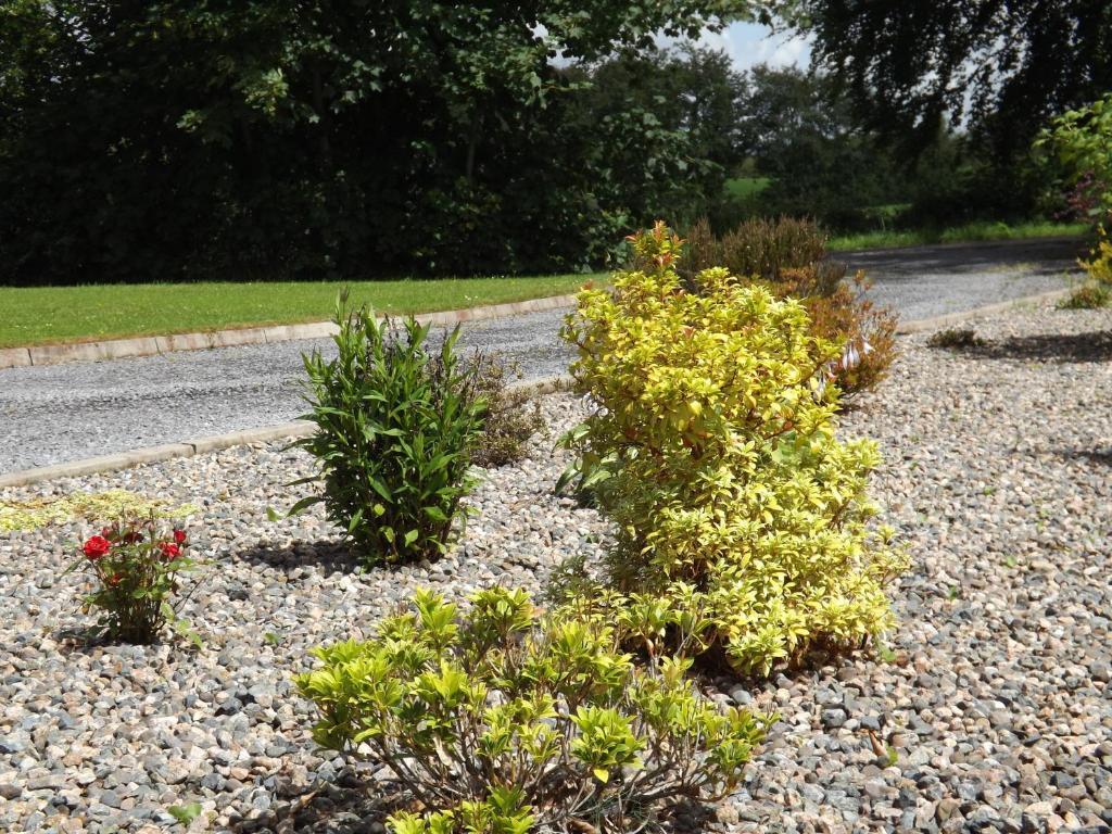 The Laurels Bed & Breakfast Lodge Omagh Exteriér fotografie